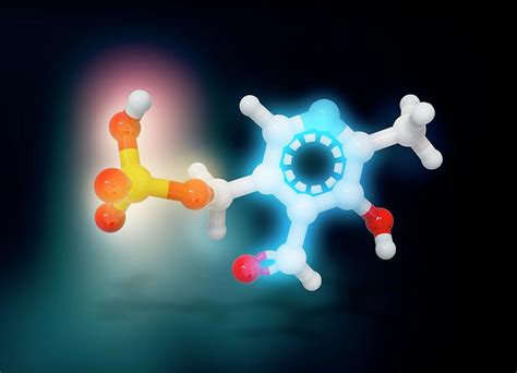 Pyridoxal Phosphate Molecule Photograph by Ramon Andrade 3dciencia - Fine Art America