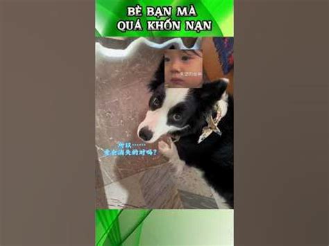 Bè Với Chả Bạn #funnyvideo #funny #dog - YouTube