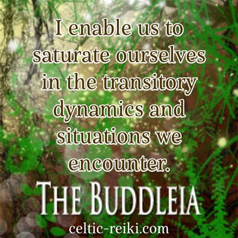 Dive into the realms of Celtic Reiki... To buy the Celtic Reiki book ...