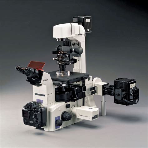 Inverted microscope | instrument | Britannica