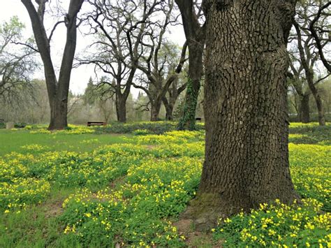 Four Hidden Parks of Sacramento