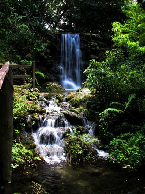 Rainbow Springs: Beautiful and Preserved as a State Park