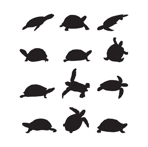 Turtle Silhouette SVG – MasterBundles