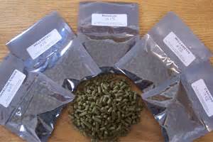 Hops for Home Brewing