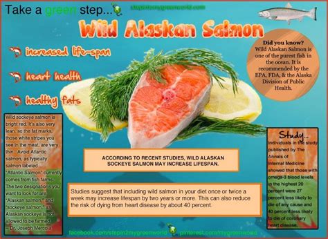 Salmon health benefits, Wild alaskan salmon, Food infographic