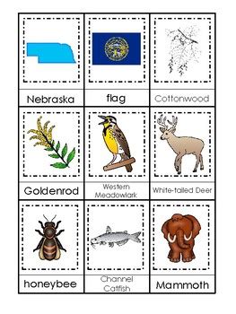 Nebraska State Symbols themed 3 Part Matching Game. Preschool Card Game.