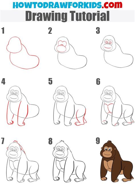 How to draw a gorilla 2021