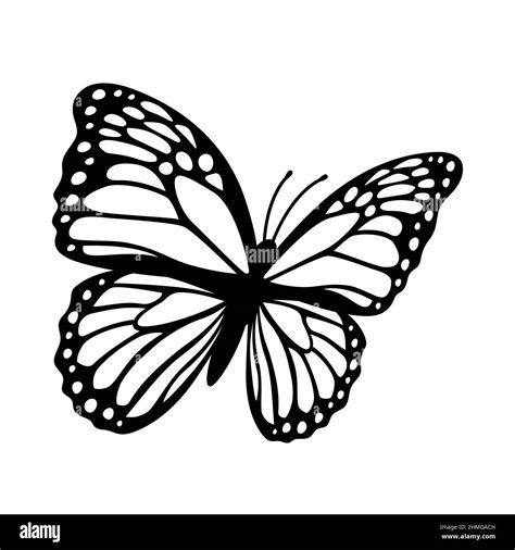 Monarch butterfly silhouette. Vector illustration isolated on white ...