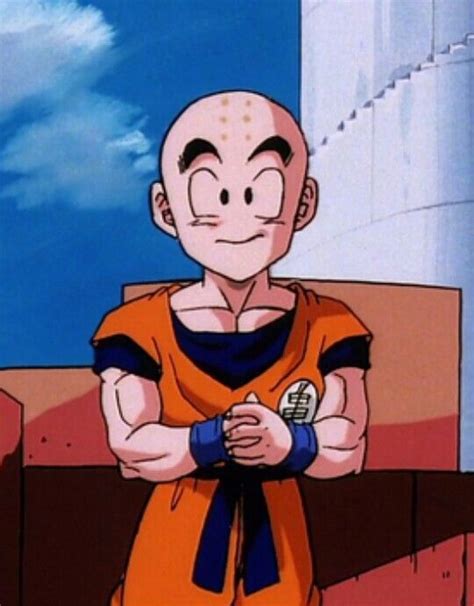 Krillin is an Earthling, who as a young boy studied martial arts under Master Roshi with Goku ...