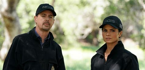 NCIS Season 20: Everything you need to know about the new season and ...