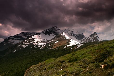 Parkers Ridge, Banff | Parkers Ridge Trail, Banff National P… | Flickr