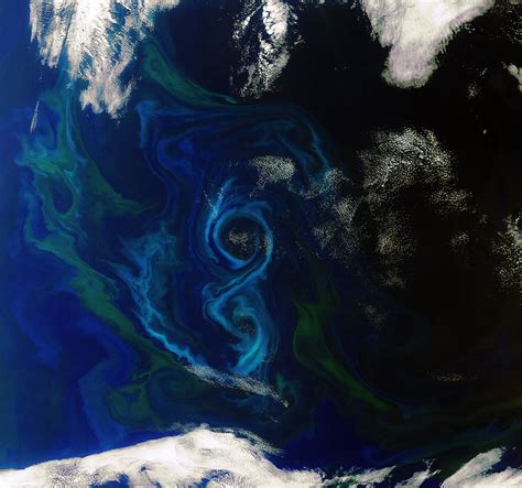 Mostly Open Ocean: Phytoplankton from space