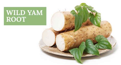 Wild yam reviews, benefits, dosage & side effects