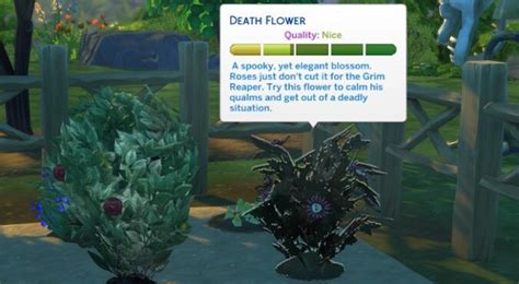 How do you get a Death Flower in Sims 4?