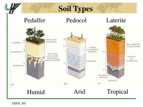 PPT - Chapter 5 Weathering and Soil PowerPoint Presentation, free ...