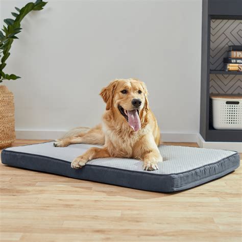 FRISCO Cooling Orthopedic Dog Crate Mat, 42-in - Chewy.com