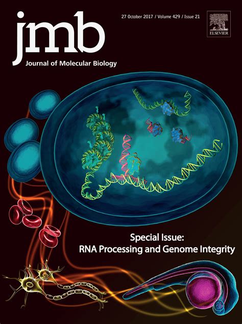 Covers Gallery - Journal of Molecular Biology | ScienceDirect.com by Elsevier