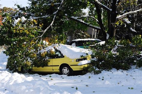 Tips on How You Can Fix Winter Storm Damage to Your Home - Water Damage AdvisorWater Damage Advisor