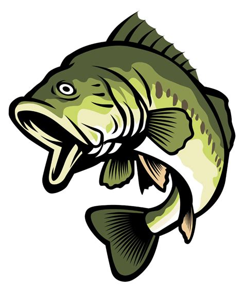 Bass clipart carp, Bass carp Transparent FREE for download on WebStockReview 2024