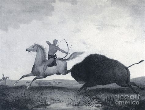 Native American Indian Buffalo Hunting Photograph by Photo Researchers