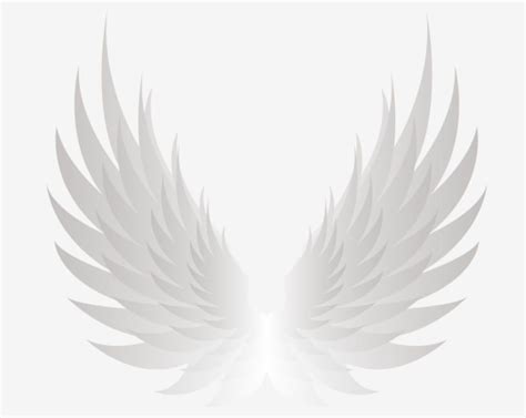 White Angel Wings PNG and PSD