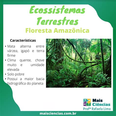 Ecossistemas Terrestres - Mais Ciências - Professora Rafaela Lima ...