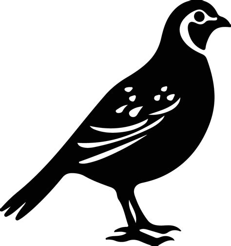 quail black silhouette 38102788 Vector Art at Vecteezy