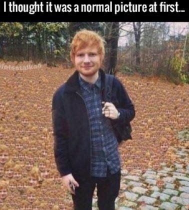 20 Ed Sheeran Memes With Cat - SayingImages.com