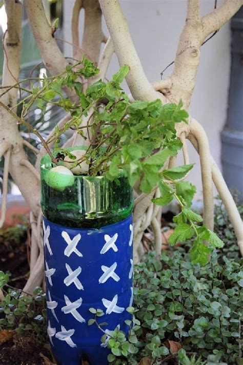 15 Planter Ideas Using Empty Wine Bottle – DIY to Make