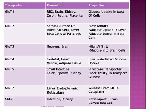 Glucose Transporters