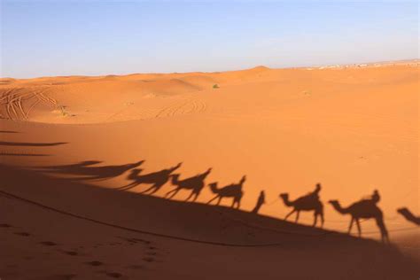 Morocco: My Thrilling Sahara Desert Camp & Camel Ride on the Dunes ...