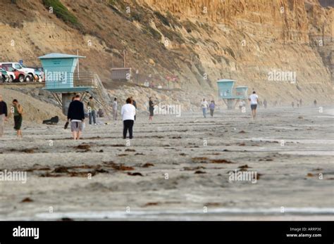 Torrey Pines State Beach Stock Photo - Alamy