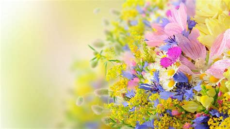 Summer Flowers Wallpapers - Wallpaper Cave