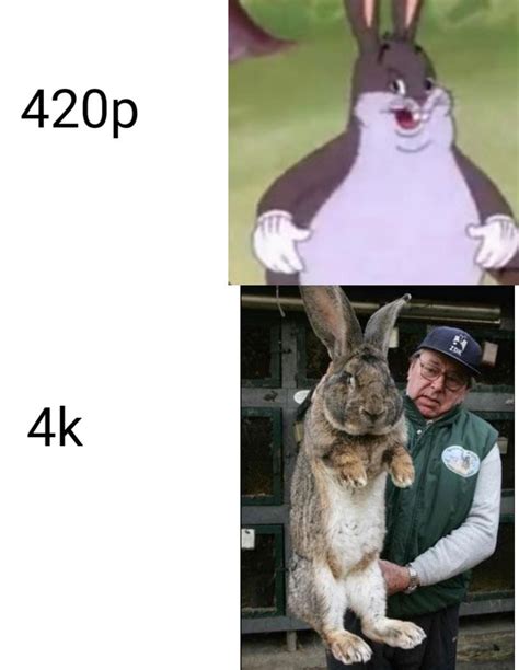 Big chungus in real life : r/memes