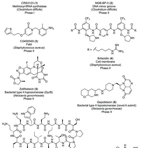 New-generation antibiotics in clinical trials. | Download Scientific ...