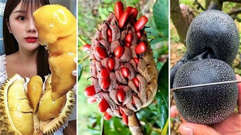 10 Frutas Exóticas Mais RARAS e INCRÍVEIS do Mundo - Parte 1 | Exotic Fruits of the World - YouTube