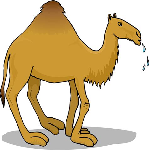 Camel clip art vector graphics 2 - WikiClipArt