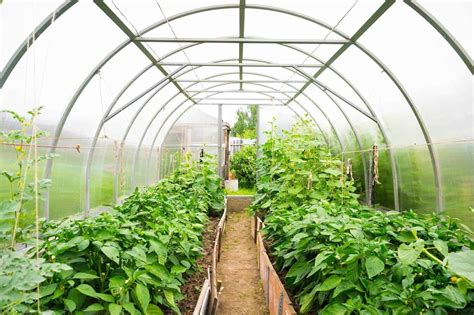 How to Build Your Own Greenhouse | Greenhouse gardening, Winter greenhouse, Greenhouse