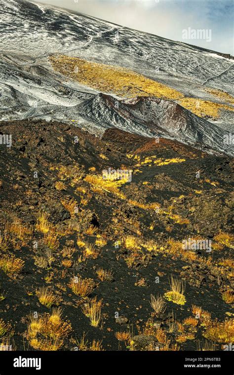 Hills of the lava flow on the slopes of the Etna volcano with the ...