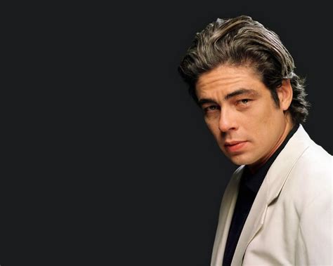 Benicio del Toro : WALLPAPERS For Everyone