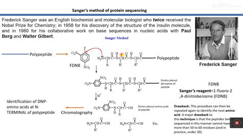 Protein sequencing - YouTube