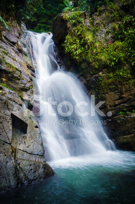 La Mina Falls At El Yunque National Forest Stock Photo | Royalty-Free ...