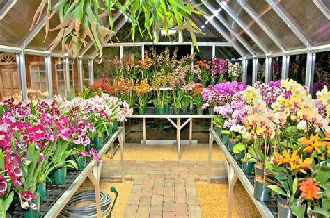 Orchid Greenhouse - ClimaPod Greenhouse Kits