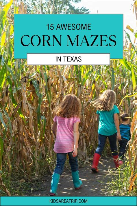 Halloween Corn Maze