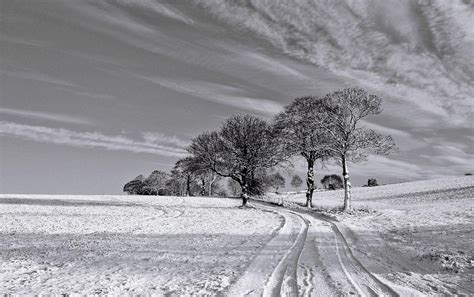 Black And White Images Of Winter