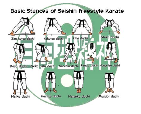 Karate Stances – Black Belt Ireland