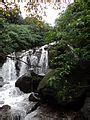 Category:Amboli waterfall - Wikimedia Commons