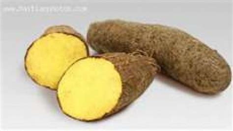 Plans To Avert Crisis In Yam Industry | RJR News - Jamaican News Online