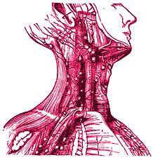 Cretinism - treatment of Cretinism , types Diseases, Index A –Z, medicines, Cretinism symptoms ...