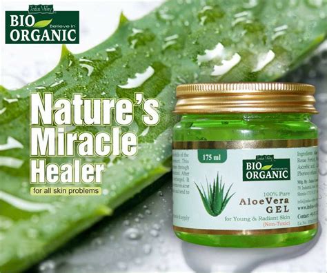 10 Ways How To Use Organic Aloe Vera For Skin Whitening | by arti rai | Medium